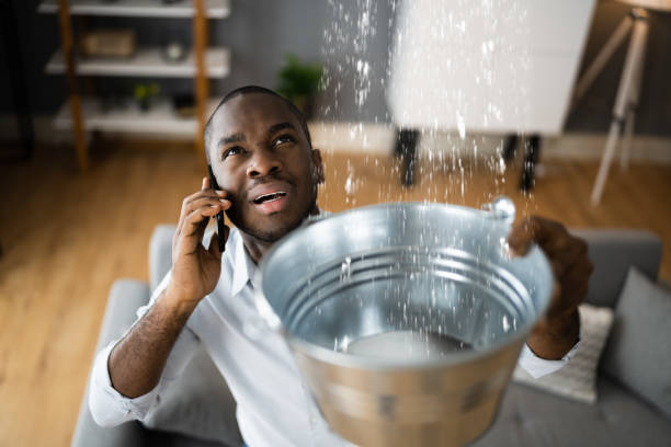 Best Water damage restoration services  in Swoyersville, PA