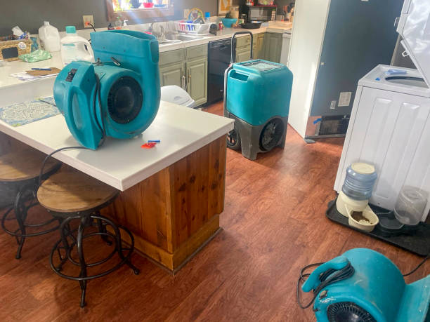 Best 24/7 water damage repair  in Swoyersville, PA