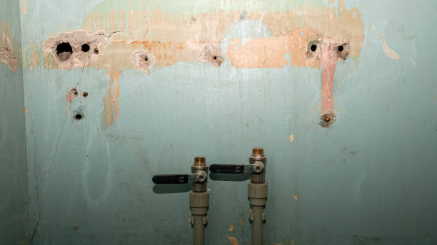 Water damage restoration mold remediation