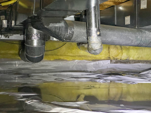 Best Ceiling water damage repair  in Swoyersville, PA